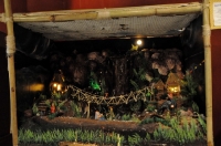 DSC_6318.JPG