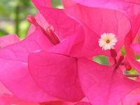 502660_8e68ca31ce.jpg