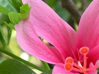 502662_8e242961e0.jpg