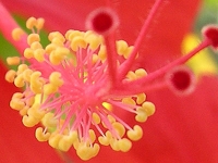 503304_cc42e2963c.jpg