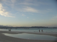 P1380133.jpg