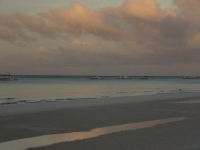 P1380141.jpg