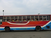 80.jpg