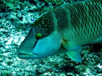 IMG_4712.JPG