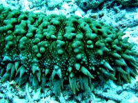 IMG_4975.JPG