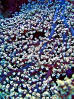 IMG_5070.JPG