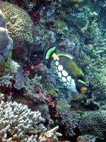IMG_5120.JPG