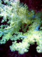 IMG_5185.JPG