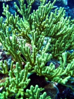 IMG_5464.JPG