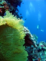IMG_5465.JPG