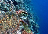 IMG_5557.JPG