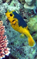 IMG_5631.JPG