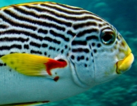 IMG_7787.JPG