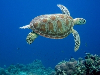 IMG_7876.JPG