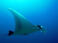 IMG_7925.JPG