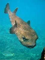 IMG_8205.JPG