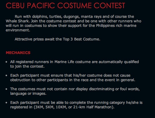 cebupacificcostume.jpg