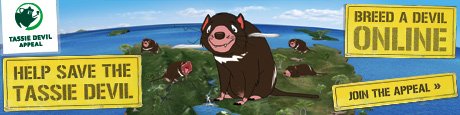 tassie-devil.jpg