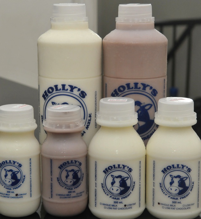 hollys-milk-new-sizes.JPG