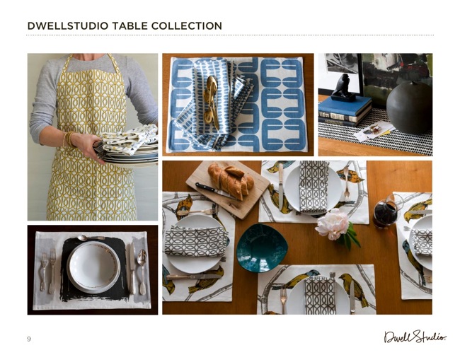 dwellstudio_presentation_0318108.jpg