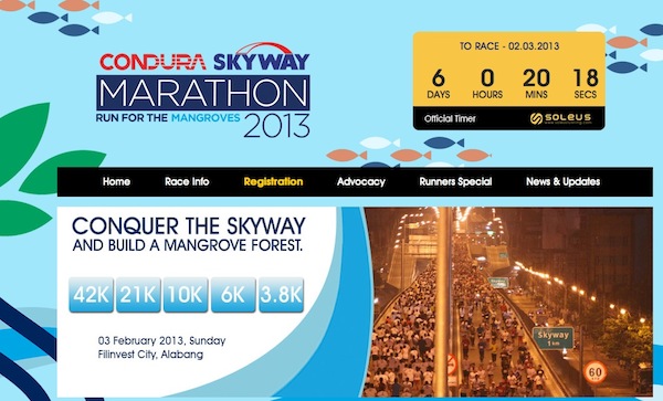 condura-skyway-marathon-website-2013.jpg