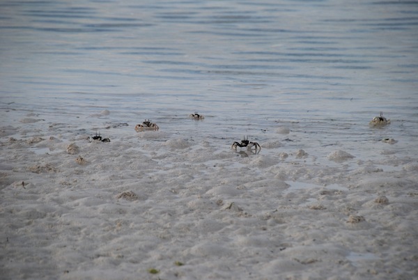 national-geographic-moment-at-amanpulo-14.JPG