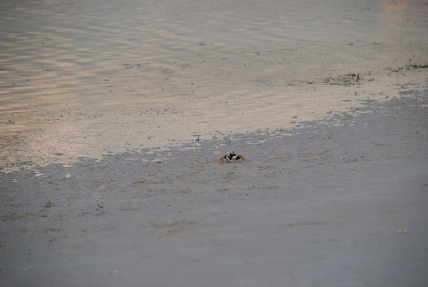 national-geographic-moment-at-amanpulo-22.JPG