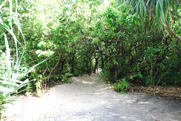 picnic-grove-at-amanpulo-1.JPG