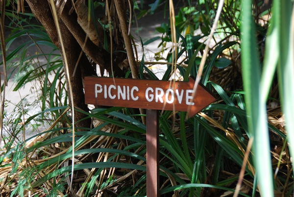 picnic-grove-at-amanpulo-2.JPG