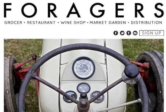 foragers-website.jpg