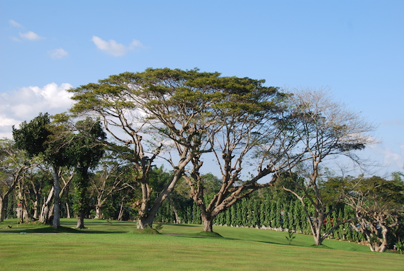 sta-barbara-golf-club-iloilo-11.JPG