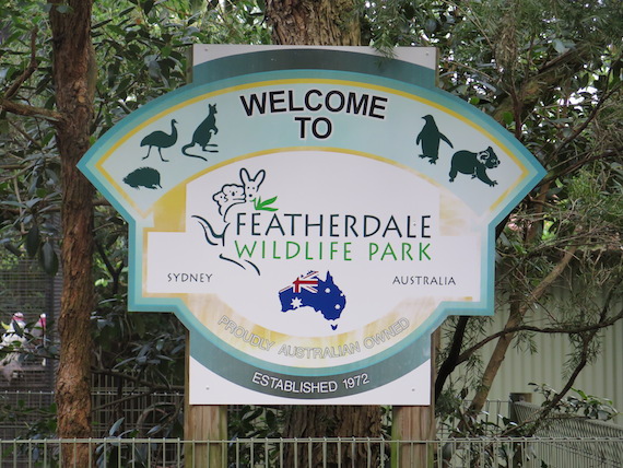 featherdale-wildlife-park-australia-5.JPG