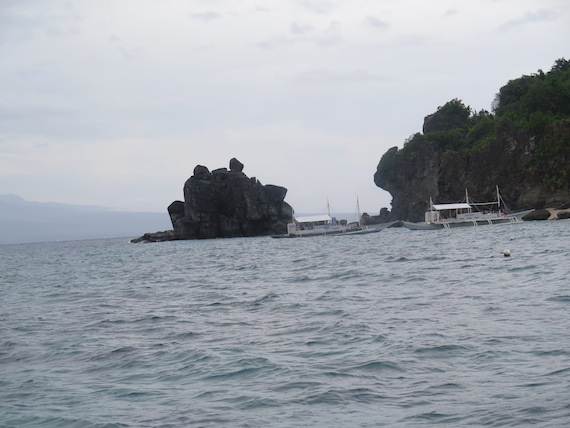 apo-island-15.JPG