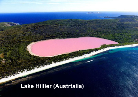 lake-hillier-australia.jpg