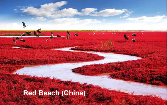 red-beach-china.jpg