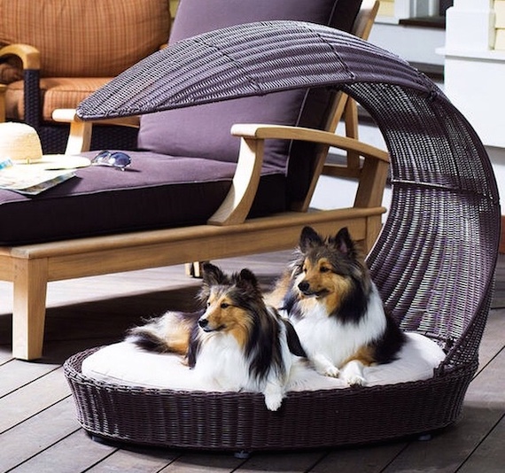 dog sofa delta skymall