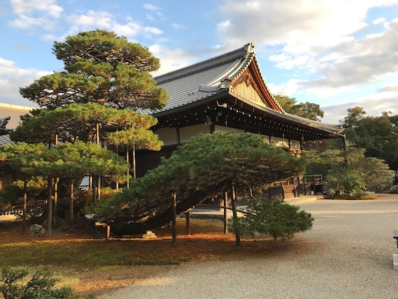 kinakakuji-golden-pavilion-6