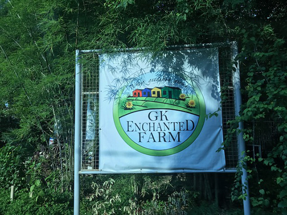 GK Enchanted Farm (5)