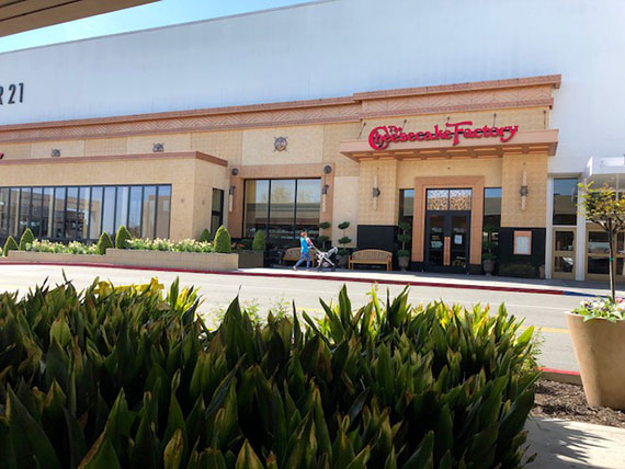 Cheesecake Factory (1)