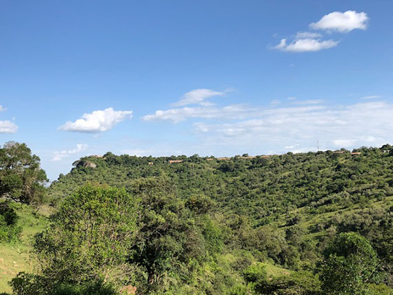 Masai Mara Game Drive (6)