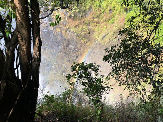 Victoria Falls (11)