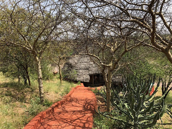 Cottages at Sasaab Samburu (2)