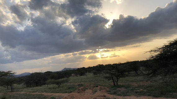 Day 1 Game Drive Sasaab Samburu Private Reserve (11)